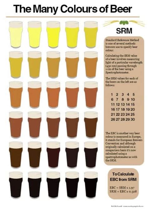 Beer Color Infographic - Craft Beer Time