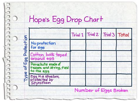 Egg Drop Experiment!