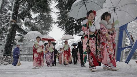 Tokyo snow storm disrupts transport