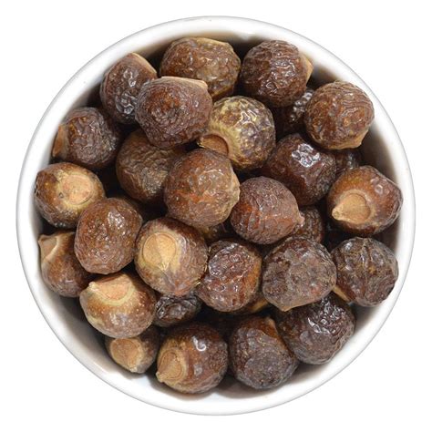 Soap nut or Reetha scientifically known as Sapindus mukorossi is a common Ayurvedic medicinal ...