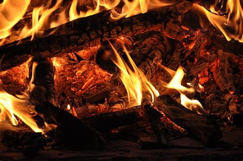 burning fire, various, fire, burning, flame, fire - natural phenomenon, heat - temperature, wood ...
