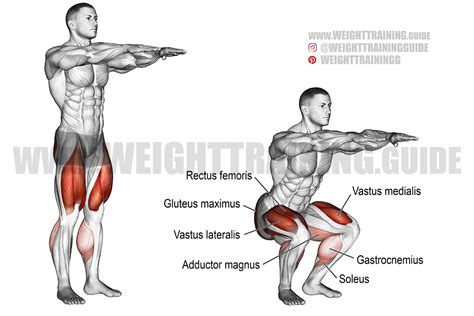 Bodyweight squat exercise instructions and video | Weight Training Guide