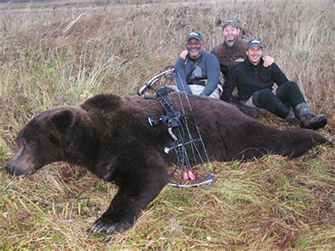 Alaska Peninsula Brown Bear - Alaska Big Game Hunting, Bear Hunting ...