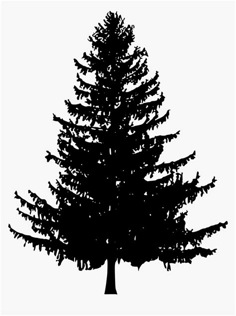 Pine Trees Silhouette Png, Transparent Png - kindpng