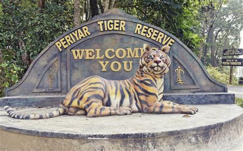 Will new airstrip in Kerala’s Idukki be a permanent threat to Periyar Tiger Reserve