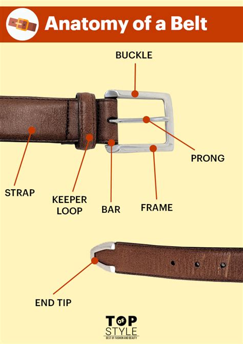 Seat Belt Buckle Parts Names - Velcromag