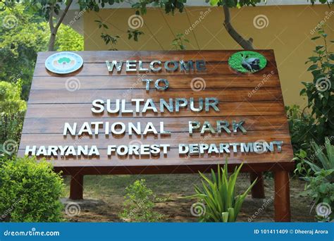 Sultanpur National Park editorial stock image. Image of park - 101411409