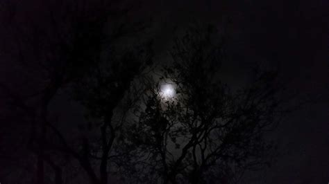 2014 Gemini Full Moon – Both Sides Now (Emerging Truths, Exposing Lies ...