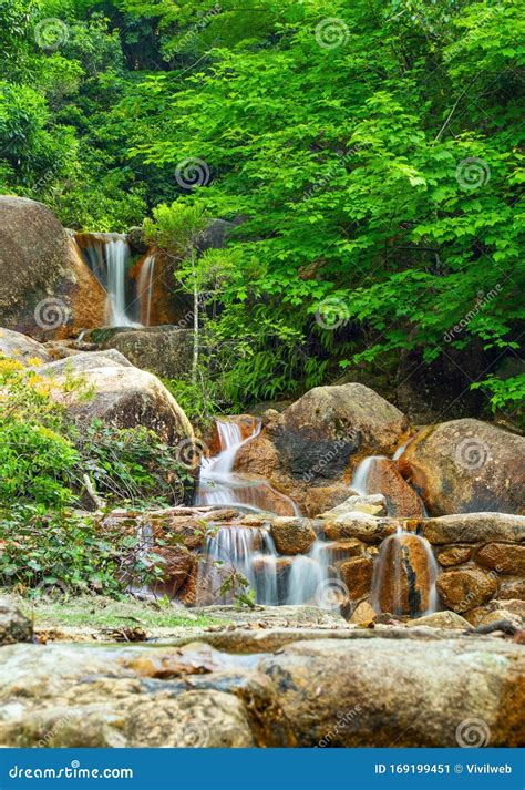 Tranquil Scenery of a Small Creek Cascade Stock Image - Image of nature ...