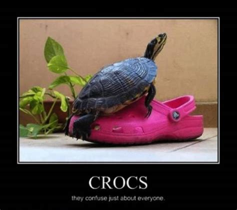 These Crocs Memes Are Just As Ugly As Crocs Themselves (29 pics + 1 gif) - Izismile.com