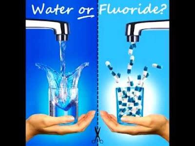 ENGLISH 6 P1 2012: Water Fluoridation: benefit or risk?