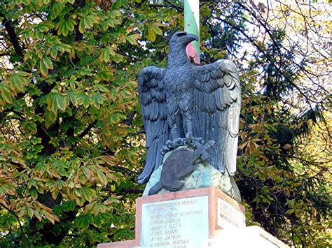 ShukerNature: TRACKING THE TURUL – HUNGARY'S PREMIER MYTHOLOGICAL BIRD