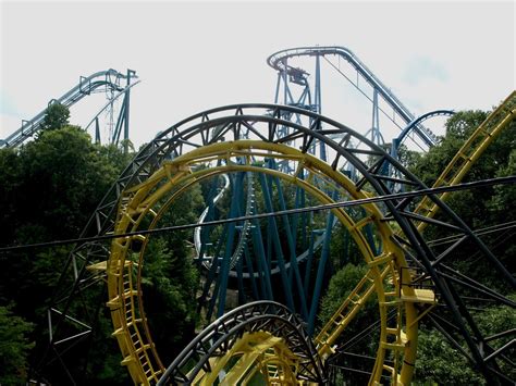 What Is The Scariest Ride At Busch Gardens Williamsburg - Beautiful Insanity