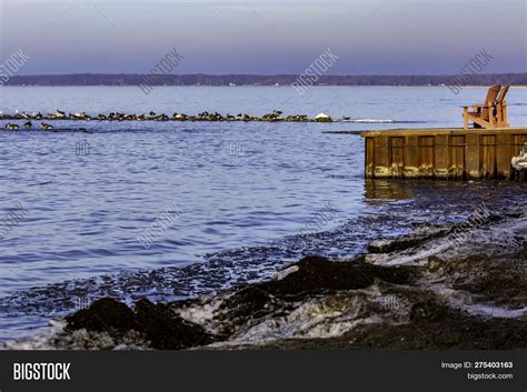 December Beach Image & Photo (Free Trial) | Bigstock