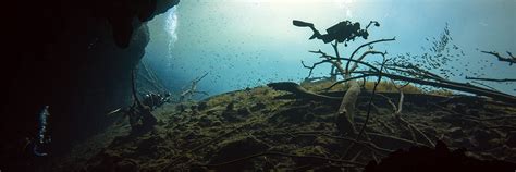 Cenote Cavern Diving Cancun & Playa Mujeres | Cthulhu Divers