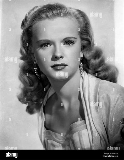 Anne Francis, 20th Century-Fox portrait, ca. early 1950s. ©20th Century Fox, TM & Copyright ...