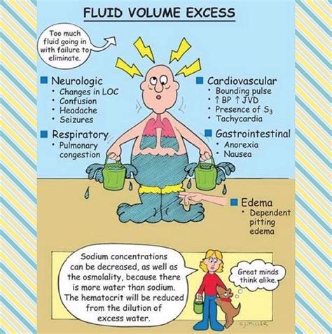 Road to RN (Fluid Volume Excess; Hypervolemia; Fluid Overload ...)