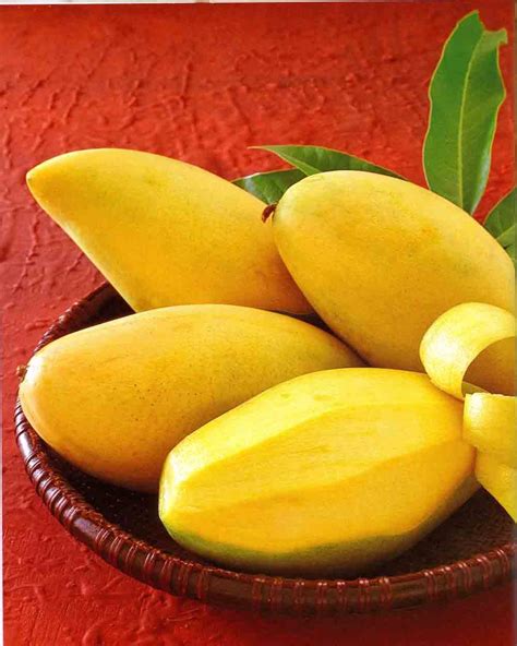 Mangoes of Mirpur Khas | Mirpur Khas