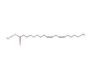 Methyl linoleate | CAS 112-63-0 | SCBT - Santa Cruz Biotechnology