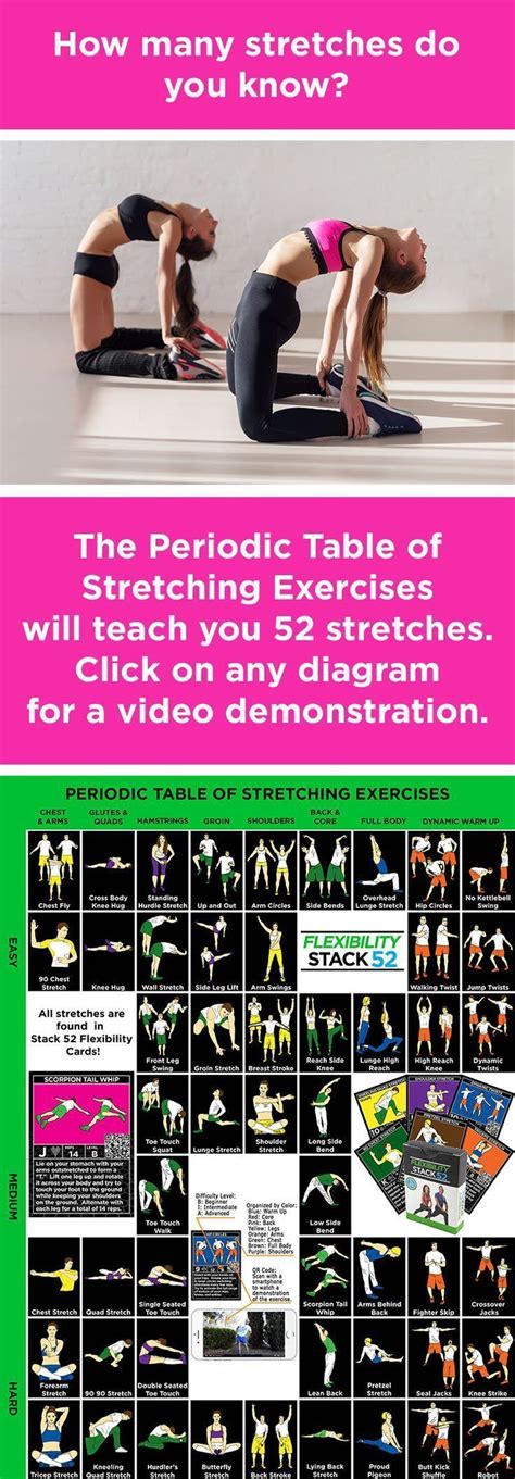 Periodic Table Of Stretching Exercises Strength Stack - vrogue.co