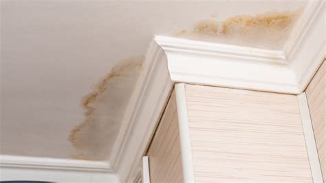 The Easiest Way To Fix A Ceiling With Water Damage