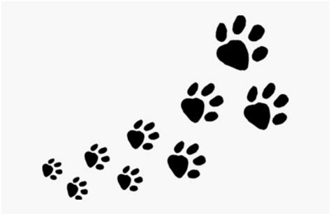 Transparent Dog Paws Clipart - Animal Footprints Clipart, HD Png ...