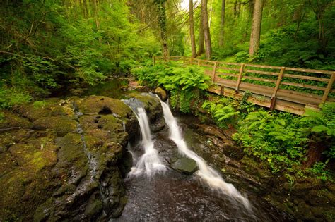 Glenariff Forest Park - Parc forestier d'Irlande du Nord • Guide Irlande.com