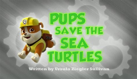 PAW Patrol Meet the Characters | Pups Save the Sea Turtles - PAW Patrol ...