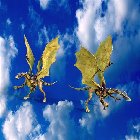 Two Dragons Free Stock Photo - Public Domain Pictures