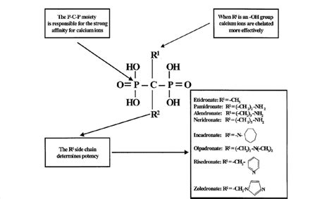 Bisphosphonate chemical structure-activity. The two phosphonate groups ...