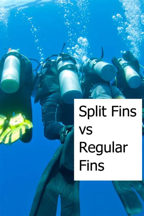 Split Fins vs Regular Fins and Blade Flippers for Scuba Diving