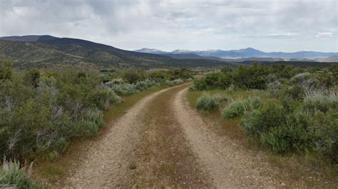 20 acres in Lyon County, Nevada