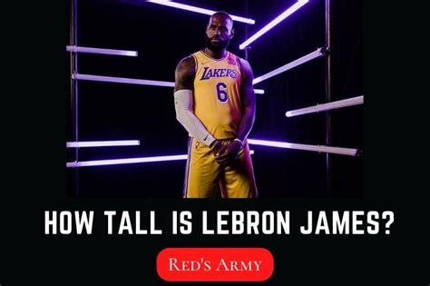 How Tall Is Lebron James? What is his Wingspan? – Shoeuphoria Store