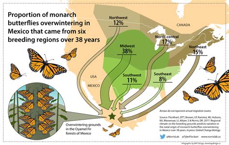 Monarch Butterfly Range