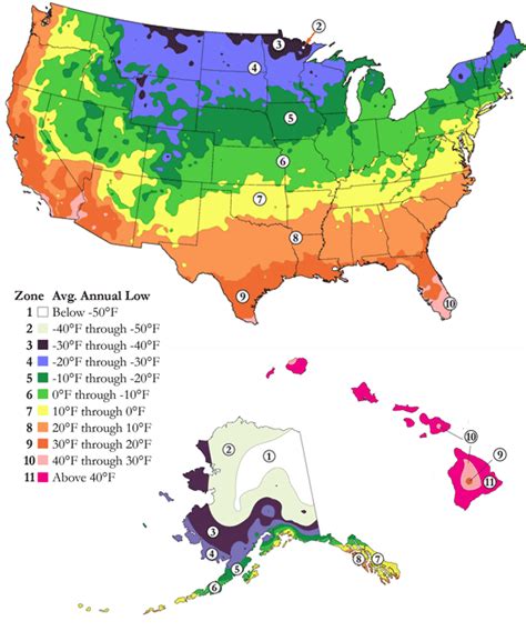 What Gardening Zone By Zip Code – Mxzim.com