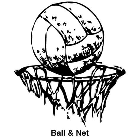 Netball Ball and Net Image