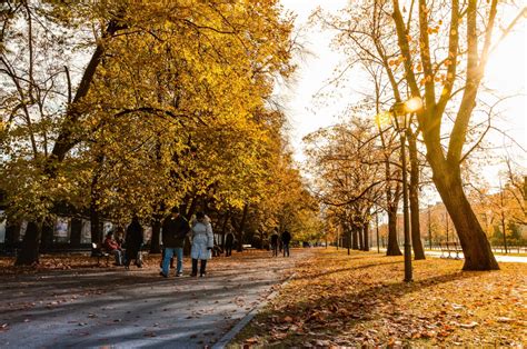 Fotos gratis : árbol, naturaleza, camino, para caminar, frío, gente ...