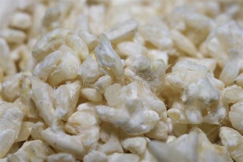 Closeup of Malted Rice or Kome Kouji. the Main Gredient of Sake Stock ...