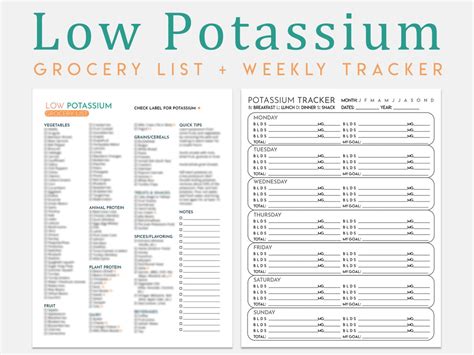 Low Potassium Diet Grocery List Weekly Tracker, Kidney Friendly Food ...