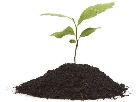 Soil PNG