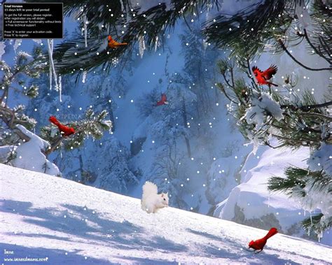 Free 3D Winter Desktop Wallpaper - WallpaperSafari