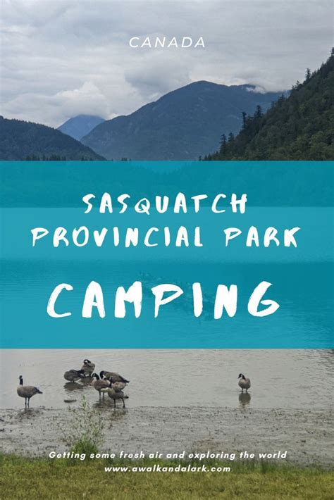 the words sasquatch provincial park camping are overlaid by ducks in a lake