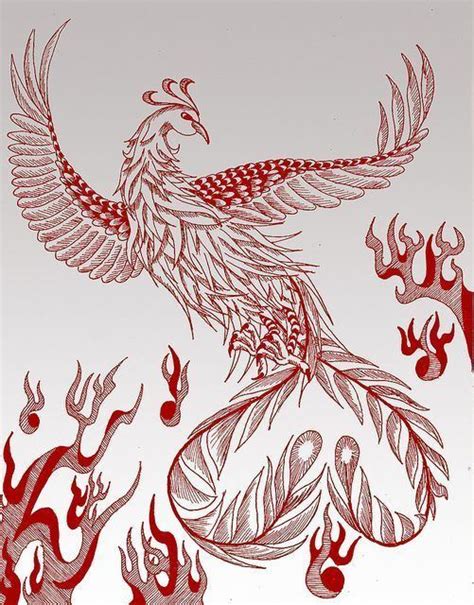 Vermilion Bird - Alchetron, The Free Social Encyclopedia