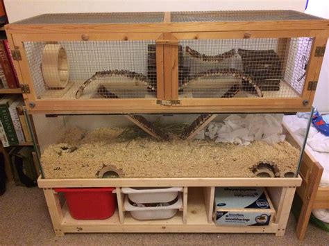 Gerbil Housing Pictures II | The Gerbil Forum | Gerbil, Hamster habitat, Hamster cages