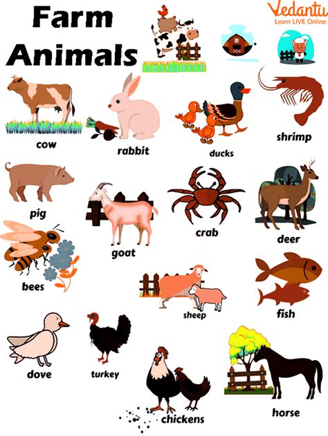 Domestic Animals Images With Names