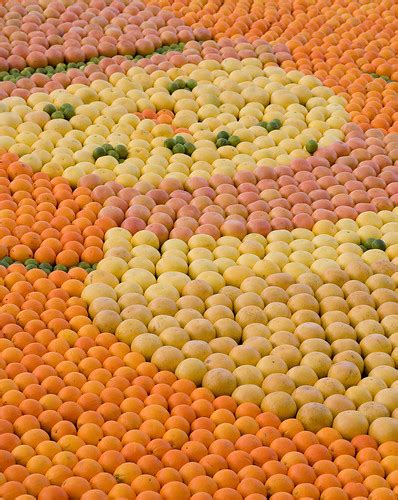 wisley - oranges and lemons | Benjamin Ellis | Flickr