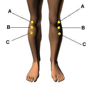 Reflexology Treatment for Knee Pain - 7 Most Important Reflex Points