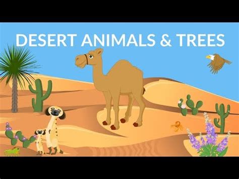 Desert Animals and Plants Adapt to L…: English ESL video lessons