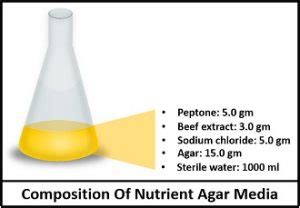 What is Nutrient Agar Media? Definition, Composition, Principle & Uses - Biology Reader