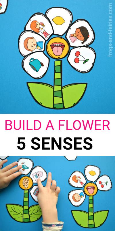 Build a Flower 5 Senses Match - Frogs and Fairies